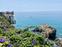 What a fabulous little find.. - Review of Hotel Balcon de Europa, Nerja, Spain - Tripadvisor