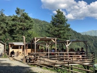 The place you must visit once in your lifetime! - Review of Heshkili Huts Svaneti, Heshkili, Georgia - Tripadvisor The place you... 