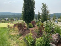 First visit but not our last! - Review of Angel Fire RV Resort, Angel Fire, NM - Tripadvisor