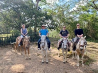 Best jungle lodge ever. - Review of Sweet Songs Jungle Lodge, a MuyOno Resort, San Ignacio, Belize - Tripadvisor