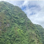 Mgahinga Gorilla National Park에서 대규모 단체가 즐길 수 있는 최고의 오락거리 | 트립어드바이저