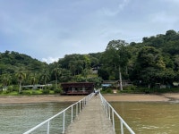 If you were a fisherman you must go here not should but must! Fishing done right! - Review of Tropic Star Lodge, Pinas Bay... 