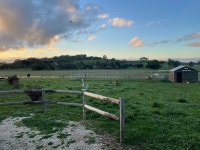 Bukirk glamping - Review of Bukirk Glamping, Clare, Australia - Tripadvisor