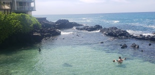 Authentic Aloha - Review of Royal Kona Resort, Kailua-Kona, HI - Tripadvisor