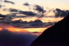 An unruffled place to detox your mind and soul! - Review of The Nest Cottages, Pangot, India - Tripadvisor