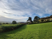 Spacious, comfortable well run accommodation in natural beauty spot - Review of The Bringewood, Burrington, England - Tripadvisor... 