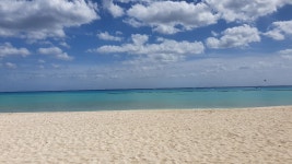 Beautiful beach and sea, but noisy animations and ignorant recption staff - Review of Allegro Playacar, Playa del Carmen, Mexico... 