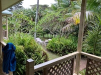 Location Location Location - Review of Blue Lagoon Lodge, Lord Howe Island, Australia - Tripadvisor