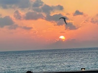 Paradise 🧘♀️ - Review of Coco Bodu Hithi, Bodu Hithi Island, Maldives - Tripadvisor Paradise 🧘‍♀️ - Review of... 