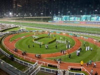 Race Dubai without the risk of using your own money! What’s not to like! Would definitely recommend to anyone out there... 