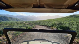 A Breake in the bush! - Review of Wildehondekloof, Matjiesrivier, South Africa - Tripadvisor
