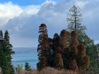 Relaxing - Review of Stonefield Castle Hotel, Tarbert, Scotland - Tripadvisor