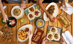 COCCOLOBA BAR & GRILL, Seven Mile Beach - Menu, Prices & Restaurant Reviews - Tripadvisor