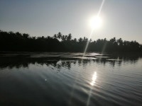 Really friendly and helpful host. - Review of Rekawa Turtle Gate, Rekawa, Sri Lanka - Tripadvisor Really friendly and helpful... 