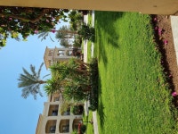 Just Fantastic - Review of Jaz Mirabel Resort, Nabq Bay, Egypt - Tripadvisor