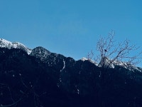 Excellent Hospitality - Review of Angels Inn Pahalgam, Pahalgam, India - Tripadvisor