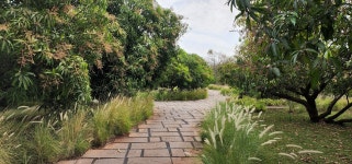Holidaying at Gir in the Woods - Review of Woods At Sasan, Sasan Gir, India - Tripadvisor