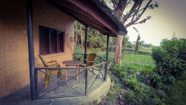 Wild thing! - Review of Jungle Base Camp, Thakudwara, Nepal - Tripadvisor