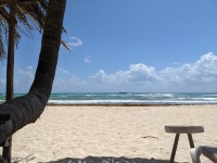 Excellent - Review of Petit Lafitte Beach Front Hotel & Bungalows, Playa del Carmen, Mexico - Tripadvisor