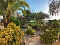 wonderful house, garden and stay - Review of Casa Mona Turismo de Interior, Llubi, Spain - Tripadvisor