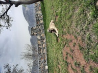 Great choice for visiting Nemrüt dağ - Review of Hotel Euphrat Nemrut., Kahta, Turkiye - Tripadvisor