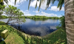 Day out - Review of Club Palm Bay, Marawila, Sri Lanka - Tripadvisor