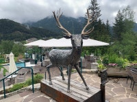 A wonderful place - Review of Alpin Resort Sacher, Seefeld in Tirol, Austria - Tripadvisor