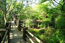 The strangest hotel I have ever stayed in! - Review of Forest Rock Garden Resort, Anuradhapura, Sri Lanka - Tripadvisor