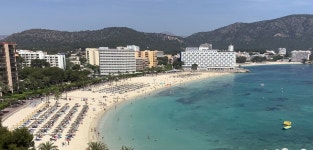 A very pleasing visit - Review of Fergus Style Tobago, Palmanova, Spain - Tripadvisor