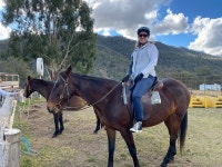 Farmstay weekend - Review of Bestbrook Farmstay, Maryvale, Australia - Tripadvisor