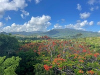 ⭐️⭐️⭐️⭐️⭐️ - Review of Casa Alternavida, Rio Grande, Puerto Rico - Tripadvisor