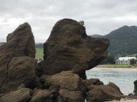 Waterfront….. - Review of The Sands Hotel, Omapere, New Zealand - Tripadvisor