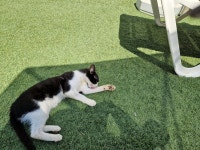 Lovely modern little hotel - Review of City Green Hotel, Limenas Chersonisou, Greece - Tripadvisor