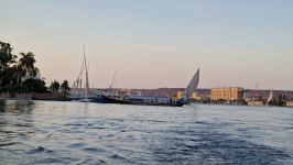 Séjour typique - Review of The Mango Guesthouse, Aswan, Egypt - Tripadvisor