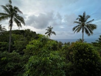 Pure Peace!! - Review of Ecotao Lodge, Koh Tao, Thailand - Tripadvisor