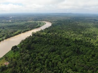 So nice experience - Review of Tanini Kinabatangan (formerly Nature Lodge Kinabatangan), Sandakan, Malaysia - Tripadvisor So nice... 