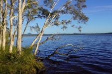 Lovely find in Noosa countryside - Review of Lake Weyba Cottages, Peregian Beach, Australia - Tripadvisor
