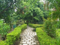Tiger den resort - Review of Click Resort Corbett Tiger den, Jim Corbett National Park, India - Tripadvisor