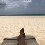 Fantastic experience - Review of Bucuti & Tara Beach Resort Aruba, Palm - Eagle Beach, Aruba - Tripadvisor