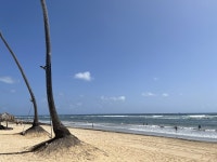 Beautiful hotel 🏝 - Review of Ocean El Faro Resort, Uvero Alto, Dominican Republic - Tripadvisor