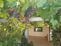 A week in Porto Ottiolu - Review of Hotel Lu Baroni, Budoni, Italy - Tripadvisor