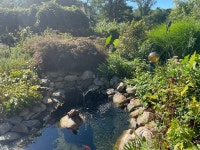 Just Relax - Review of Stonecroft Country Inn, Ledyard, CT - Tripadvisor