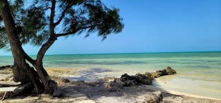 Your Home Away From Home - Review of Mount Pleasant Fishing Lodging, Andros, Bahamas - Tripadvisor