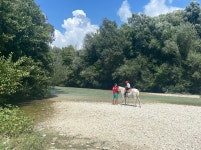 The Marbella elix experience - Review of Elix, Mar-Bella Collection, Perdika, Greece - Tripadvisor