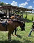 Enjoyed my excursion - Review of Lake Louisa State Park Camping & Cabins, Clermont, FL - Tripadvisor