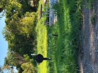 RV Park that is not RV Friendly - Review of Camp Fimfo Waco, Waco, TX - Tripadvisor  RV Park that is not RV Friendly - Review of... 