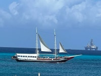 Wonderful - Review of Bucuti & Tara Beach Resort Aruba, Palm - Eagle Beach, Aruba - Tripadvisor