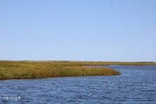 Walking distance to the ocean - Review of Ocean Surf RV Park-Camping, Pointe-du-Chene, New Brunswick - Tripadvisor
