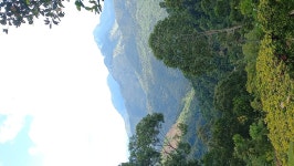 Fabulous Getway🛖 - Review of Chill Ville Hotel, Ella, Sri Lanka - Tripadvisor