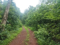 Great hospitality more than i expected - Review of The Fern Samali Resort, Dapoli, India - Tripadvisor